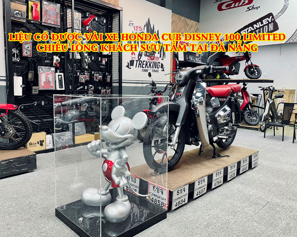 LIEU-CO-DUOC-1-VAI-HONDA-CUB-DISNEY-100-LIMITED-CHIEU-LONG-KHACH-SUU-TAM-TAI-DA-NANG