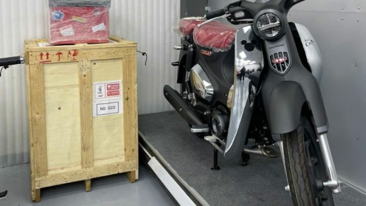 Honda Cub C125 Disney